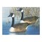 PAL35 | Painting by numbers™ 13pc 11.25" x 13.375" Geese Painting Project